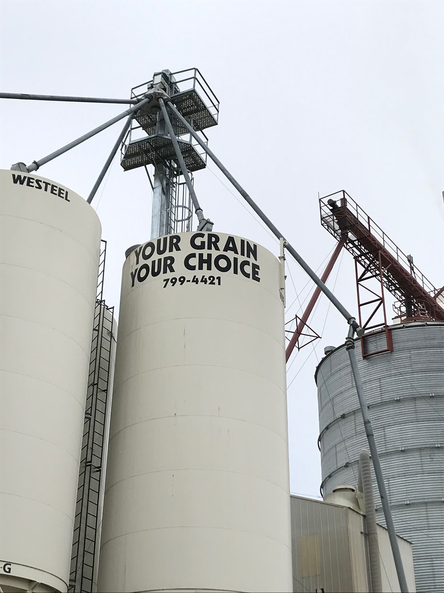 Close-up grain cleaning and storage facility